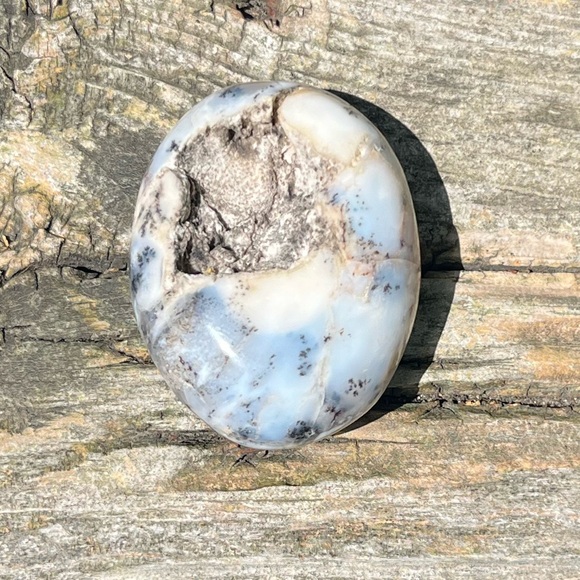 Dendritic Opal Palm - Picture 2 of 4